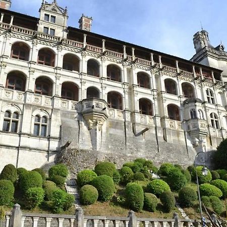 Appartement Coeur De Blois /Heart Of The City Экстерьер фото